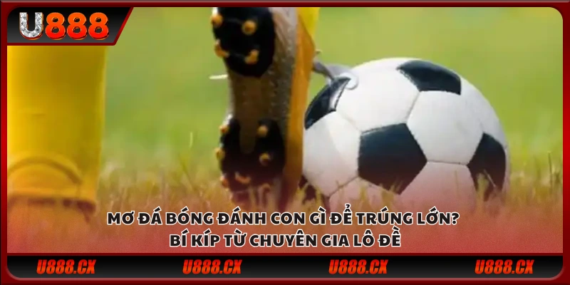 Mơ đá bóng đánh con gì để trúng lớn? Bí kíp từ chuyên gia lô đề